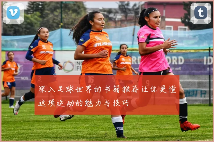 深入足球世界的书籍推荐让你更懂这项运动的魅力与技巧