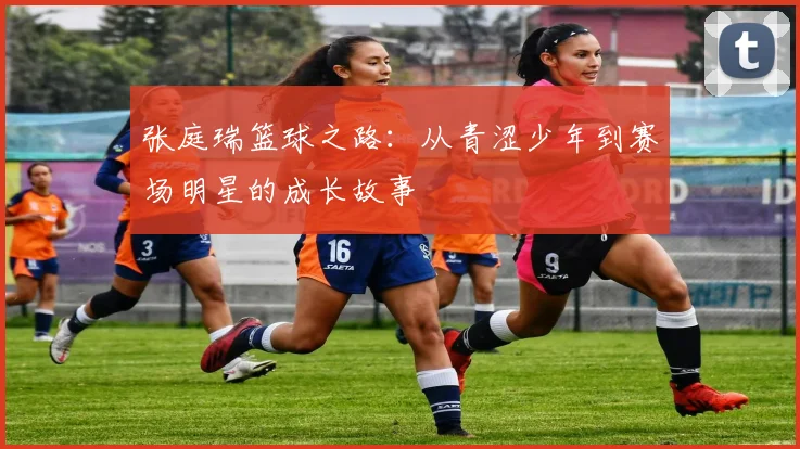 张庭瑞篮球之路：从青涩少年到赛场明星的成长故事