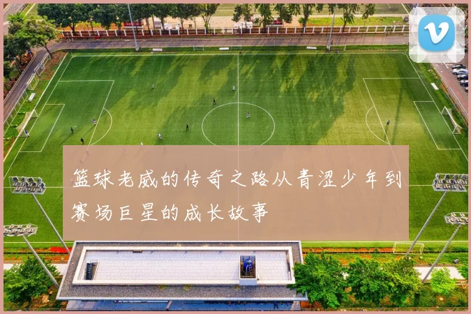 篮球老威的传奇之路从青涩少年到赛场巨星的成长故事