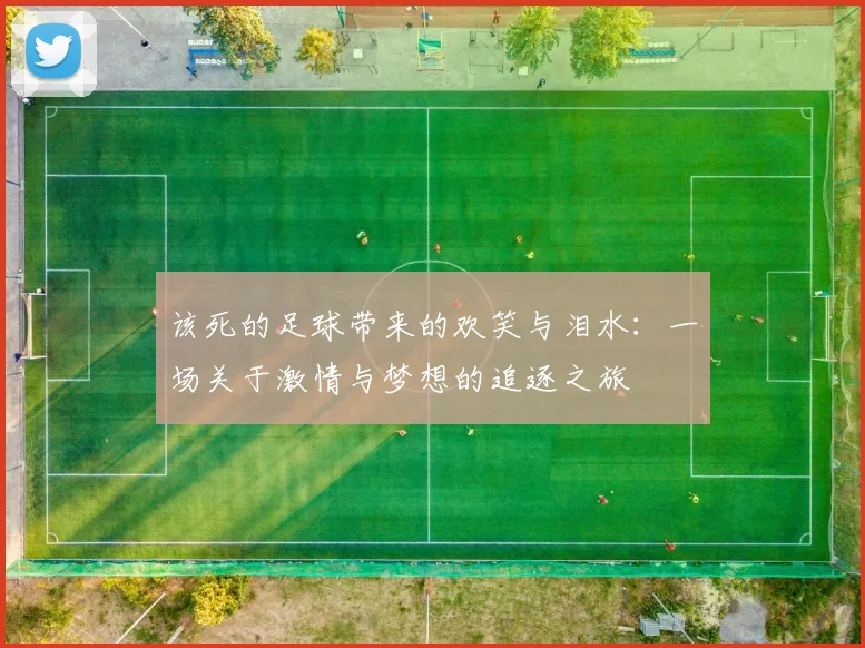 该死的足球带来的欢笑与泪水：一场关于激情与梦想的追逐之旅