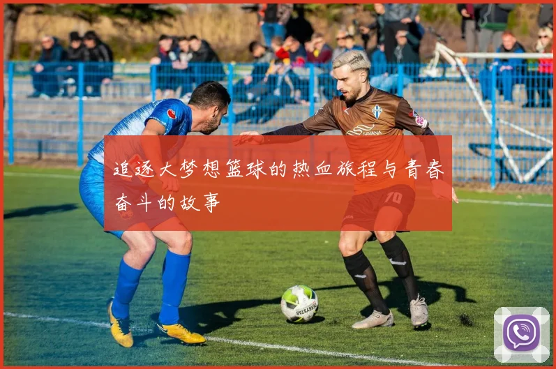 追逐大梦想篮球的热血旅程与青春奋斗的故事