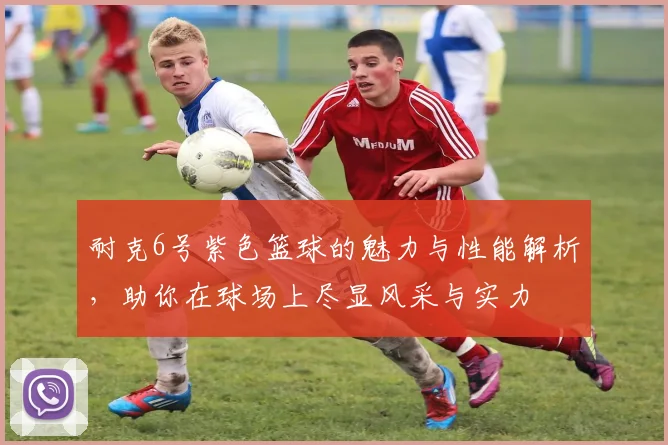 耐克6号紫色篮球的魅力与性能解析，助你在球场上尽显风采与实力