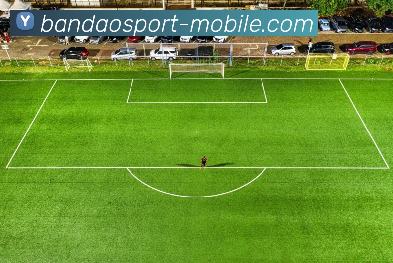 半岛手机版全站App